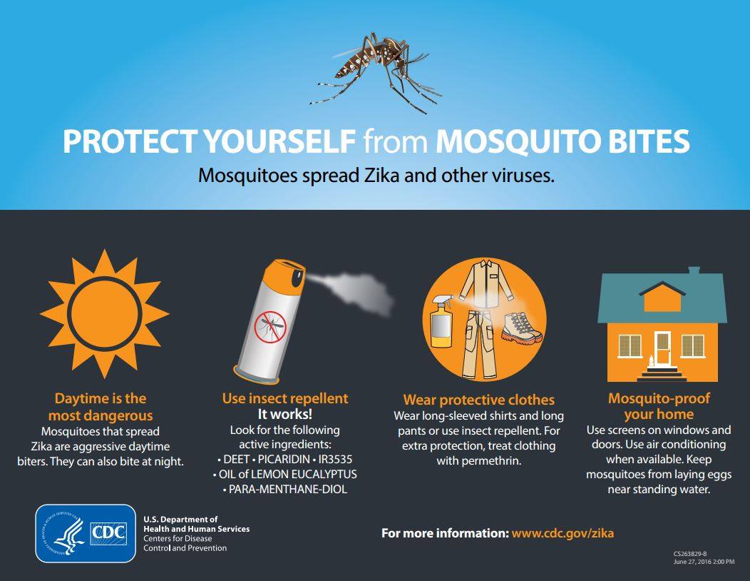 Pages Article_Protect Yourself From Mosquito Bites